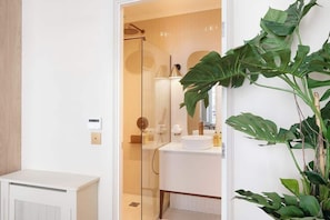 Shower, hair dryer