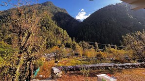 Exterior - Ohana Cafe & Hostel (Bhuntar)