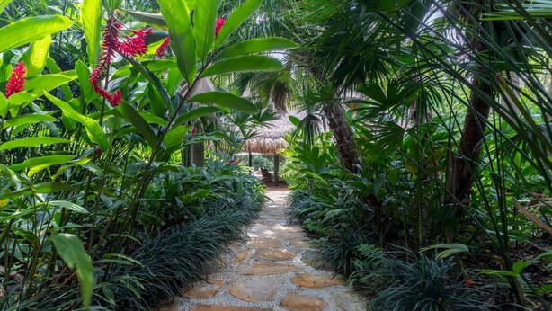 A stone pathway flanked by lush tropical foliage leading to a thatched-roof structure. - Atonishing 5BR Villa at Mesa de Yeguas (Anapoima)