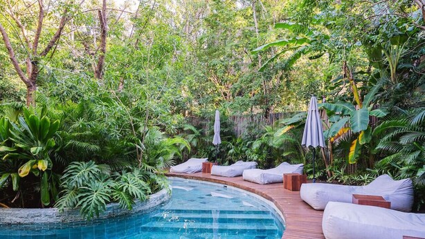 Une piscine aux bords incurvés, agrémentée d’une terrasse en bois et de coussins blancs, le tout entouré d’une végétation luxuriante.