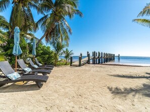 On the beach - Casa Feliz~Private Beachfront Oasis w/ Heated Pool, Movie Room & More! (Marathon)