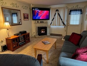 TV, fireplace, DVD player