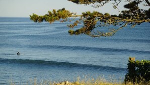 Rantamaisema, jossa näkyy surffaava henkilö, tyyni meri ja vehreää kasvillisuutta.