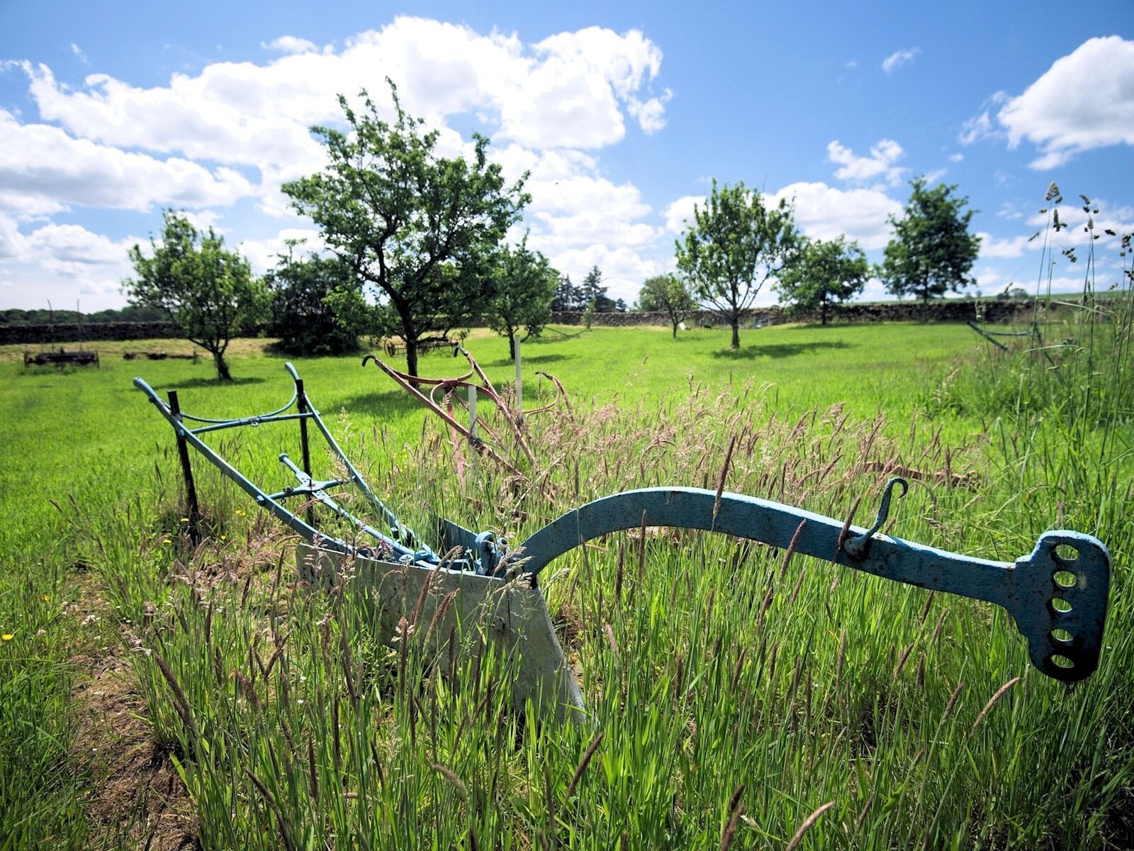 Un paisaje rural con una herramienta agrícola metálica semienterrada en hierba alta.