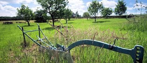 Un paisaje rural con una herramienta agrícola metálica semienterrada en hierba alta.