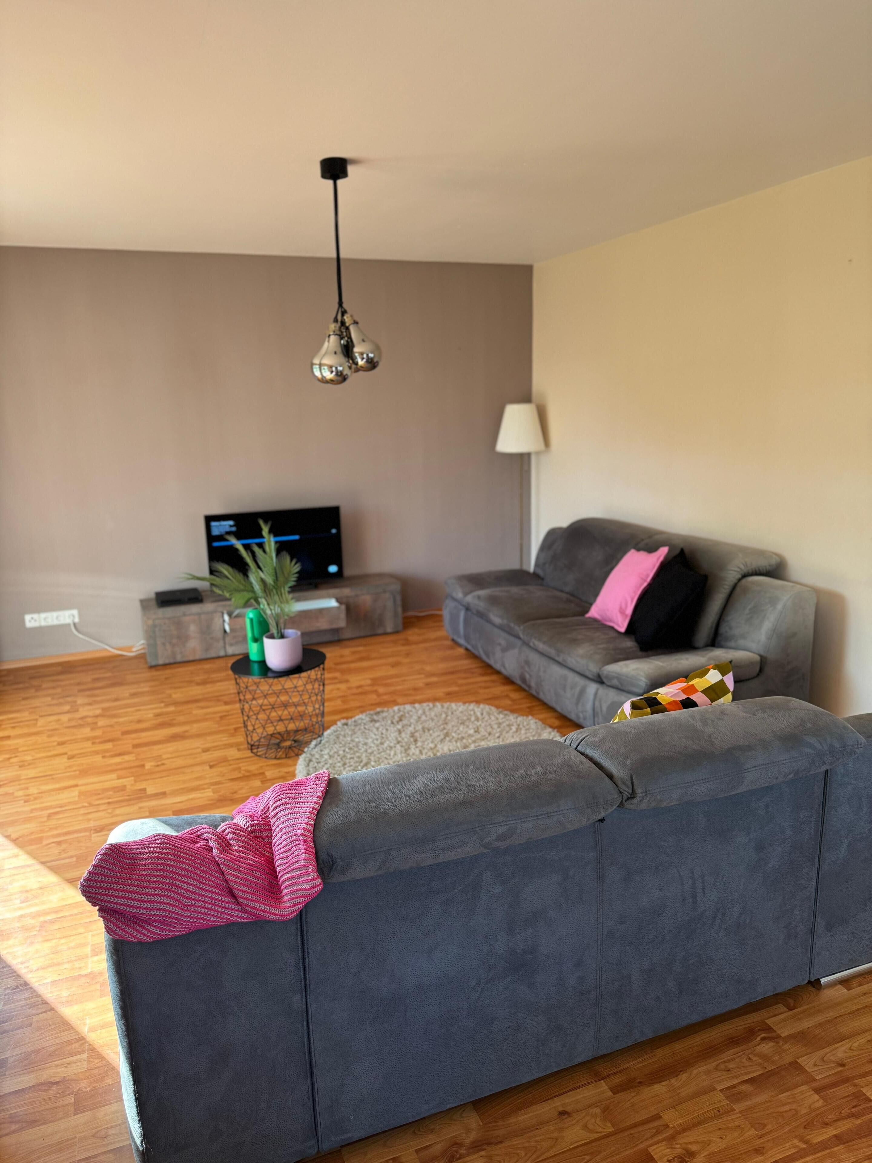 A modern living room with a grey sofa, a small side table with a plant, a TV, and a lamp.