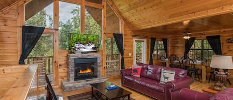 Televisión, chimenea y reproductor de DVD