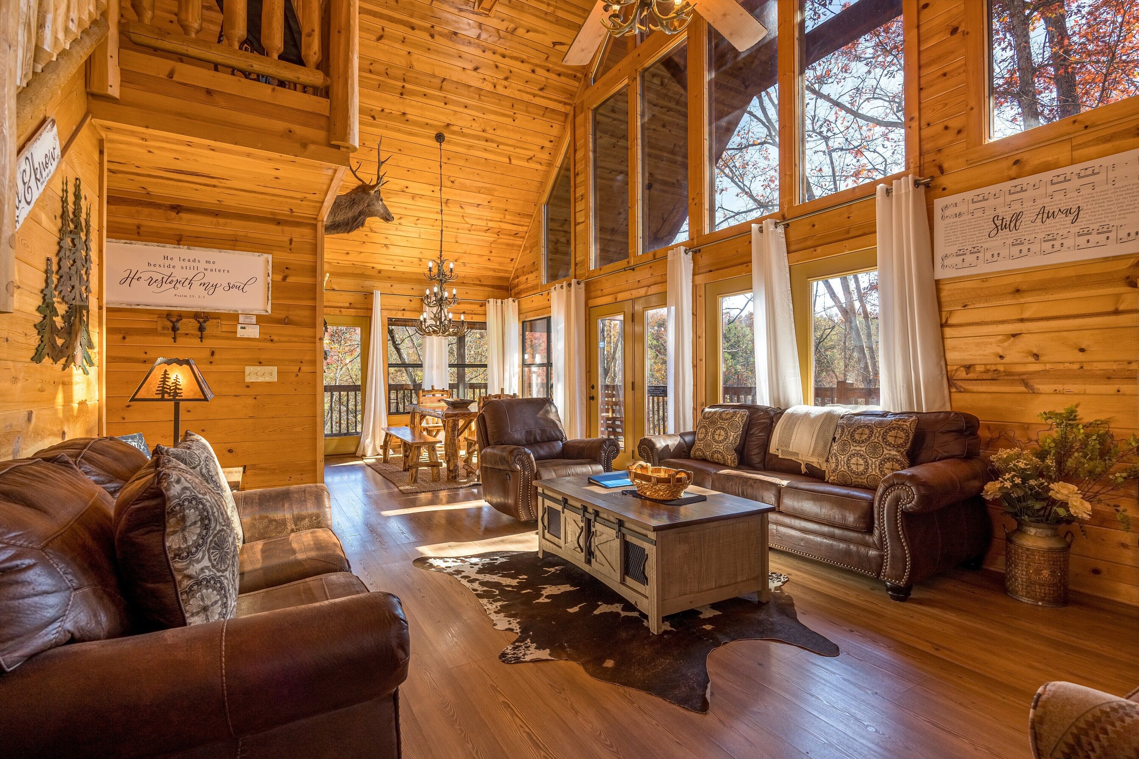 TV, fireplace, video games