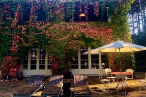 A covered patio with a table and chairs, surrounded by lush greenery and a vine-covered wall. - Simona's house in the woods - Villa Boutique (Lazio)