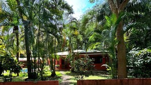 A pathway leading to a building surrounded by lush greenery and palm trees. - Congo House (Provincia de Guanacaste)