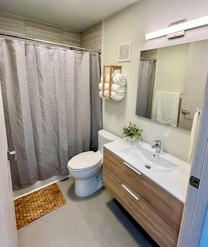 Hair dryer, towels, soap, toilet paper