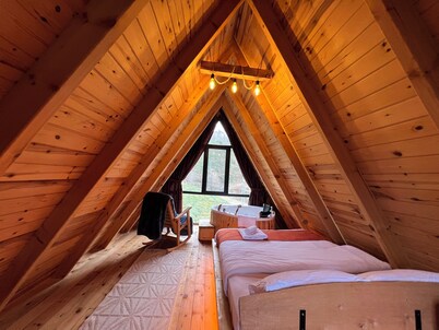 Rize Seversin Suit Bungalow