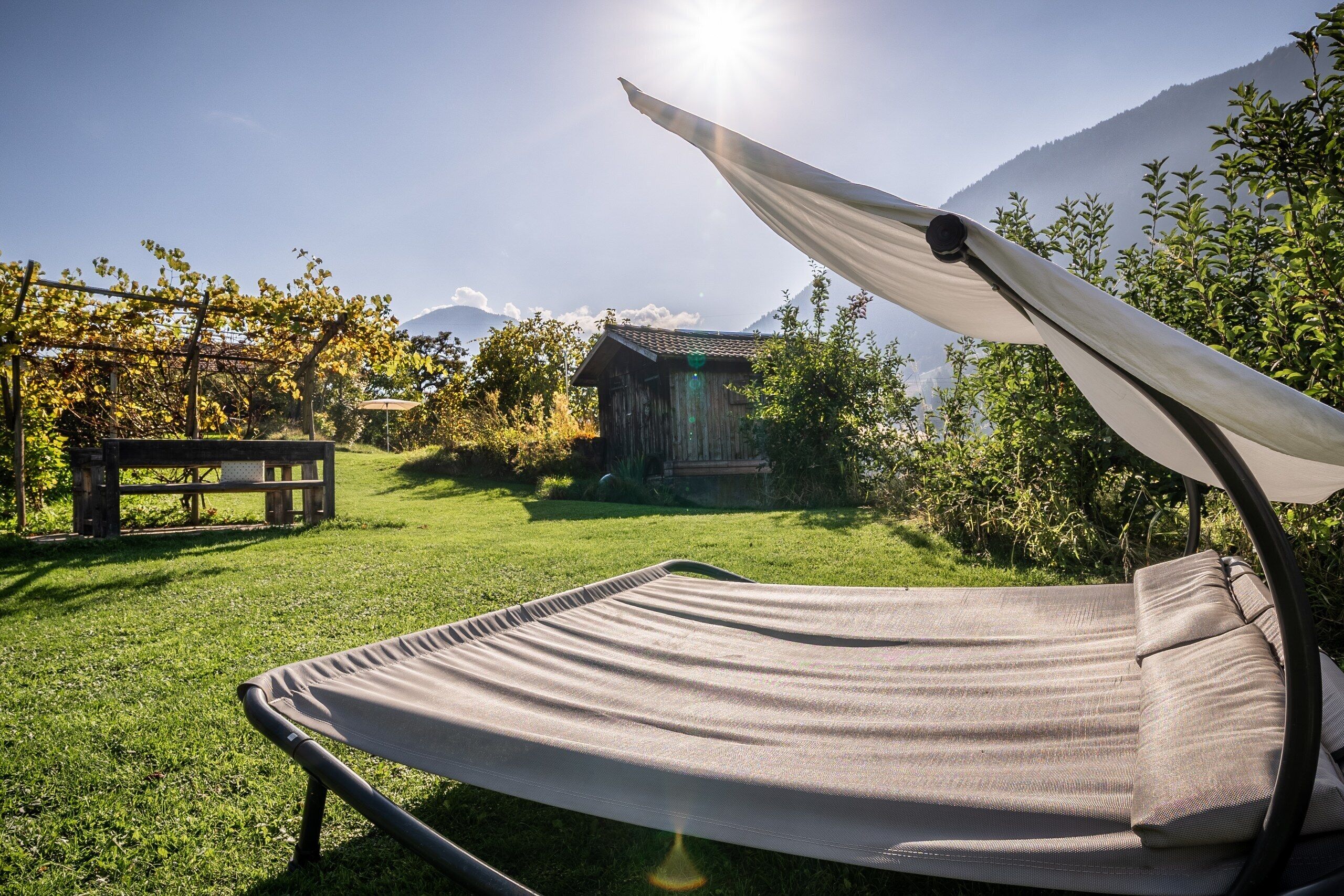 A grassy outdoor area with a hammock, a wooden bench, and a small wooden structure.