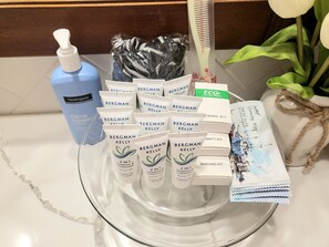 Hair dryer, towels, soap, toilet paper