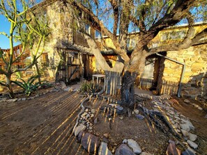 Property grounds - Tucson Desert Historic Courtyard Ground Cozy Studio Queen Size Bed (Tucson)