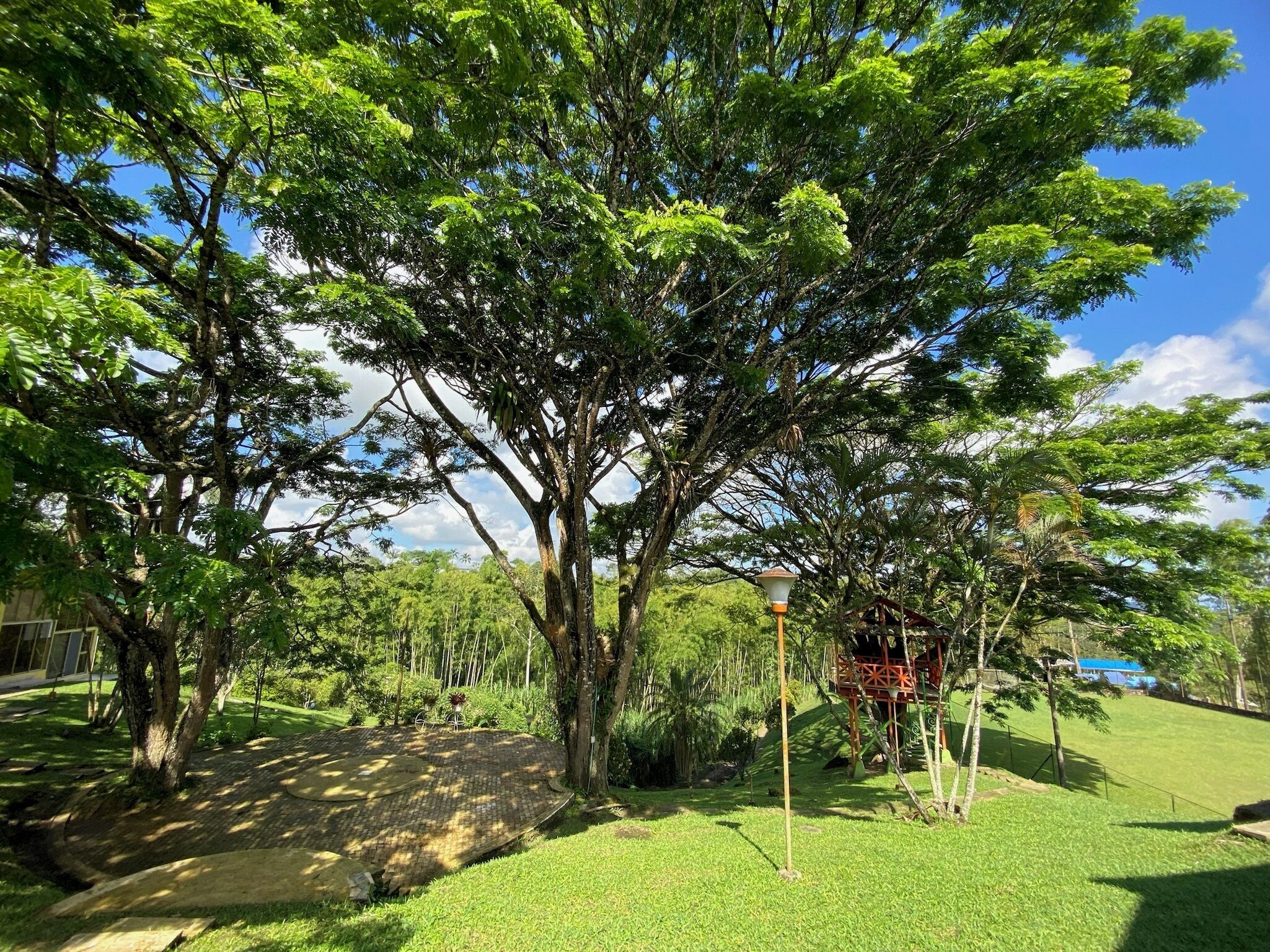 Foto - Ecohotel La Casona Pereira