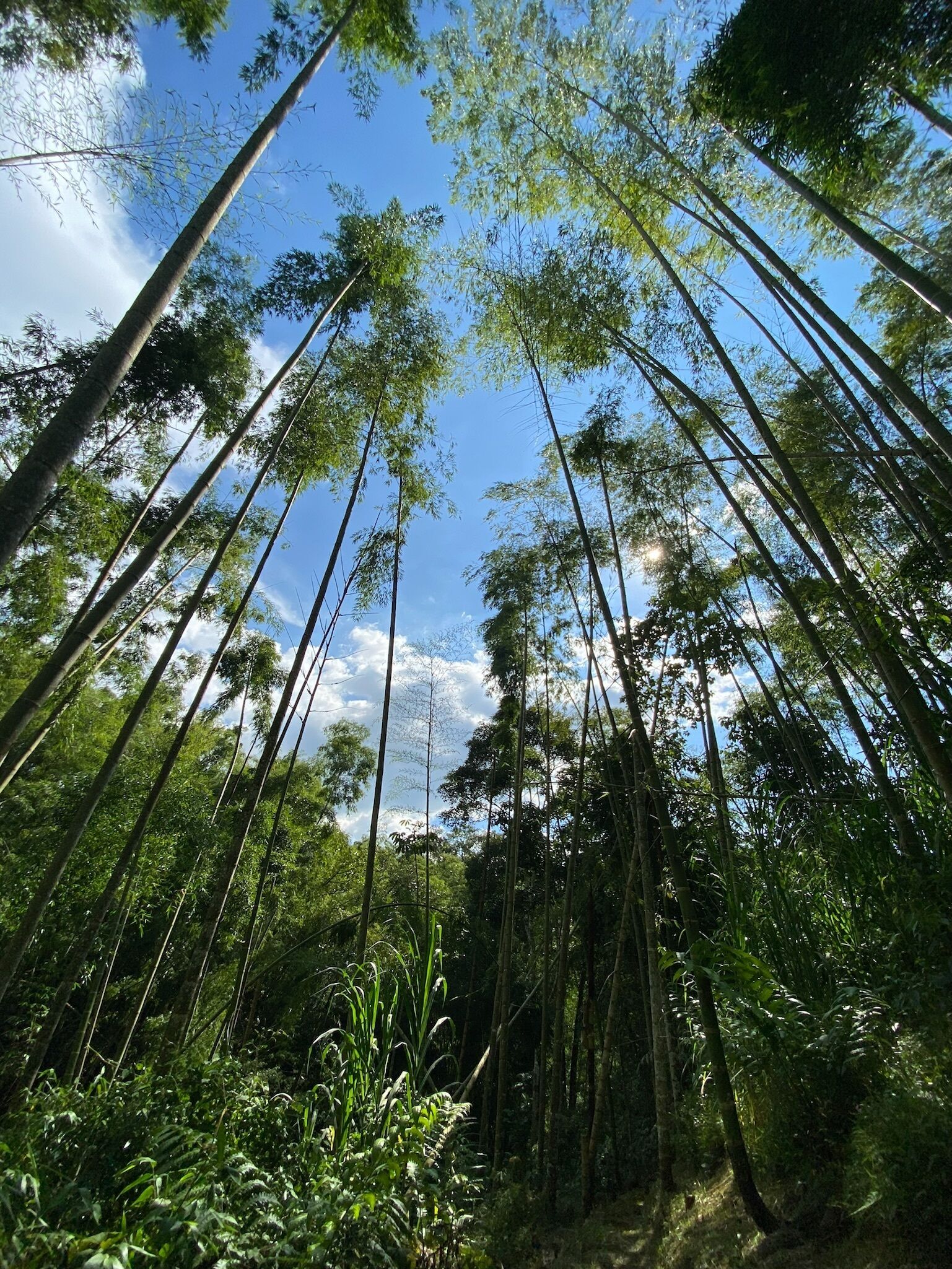 Foto - Ecohotel La Casona Pereira