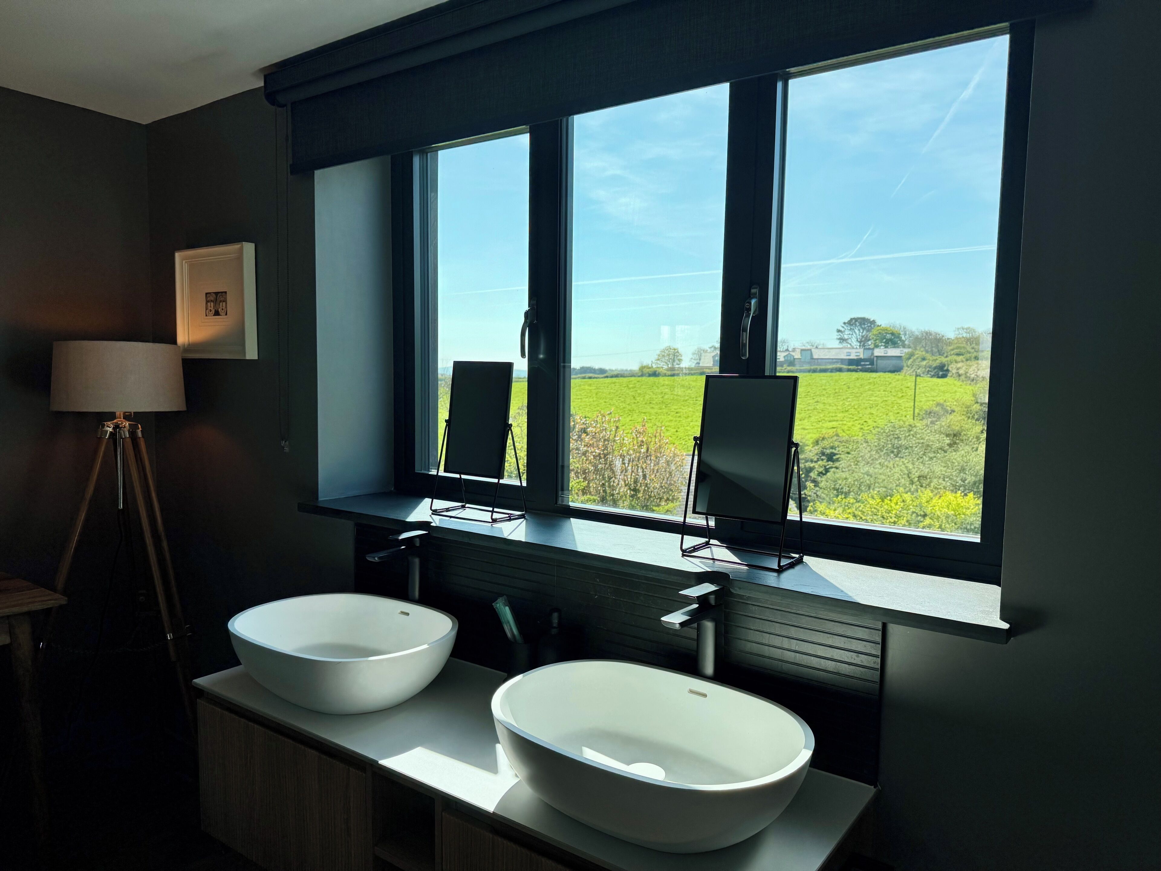 A bathroom with two white vessel sinks, a floor lamp, and a window with a view of a green field.
