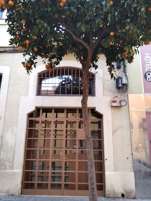 Exterior detail
