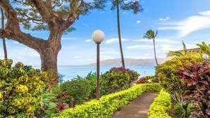 Unclassified image, 2 of 55, button - Kuleana Club - 210 (Lahaina)