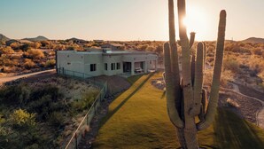Una casa moderna amb un carrer d'accés pavimentat i un cactus gran al primer pla.