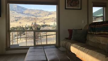 Smart TV, DVD player, table tennis