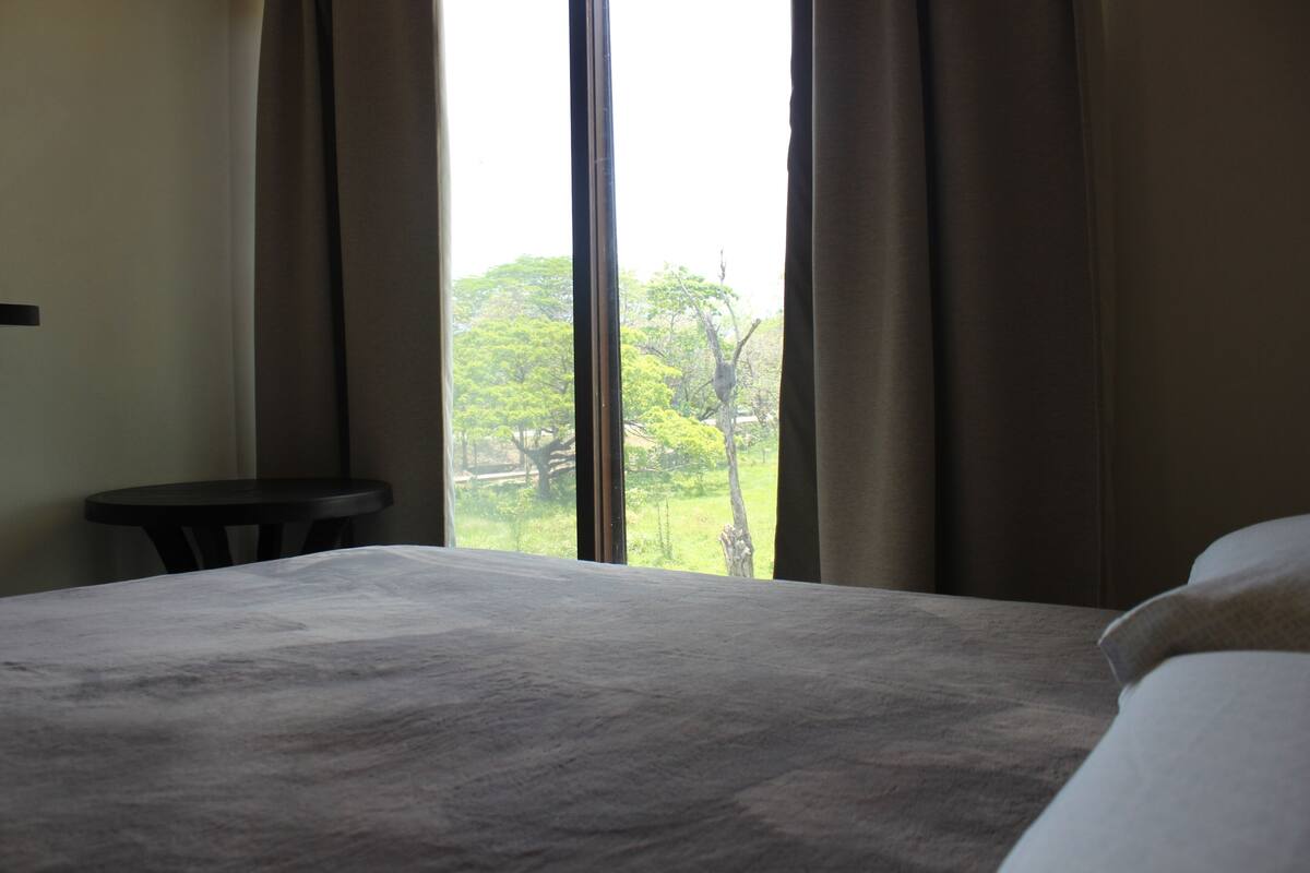 Chambre Standard | Ameublement unique, rideaux dâobscurcissement, fer et planche Ă repasser