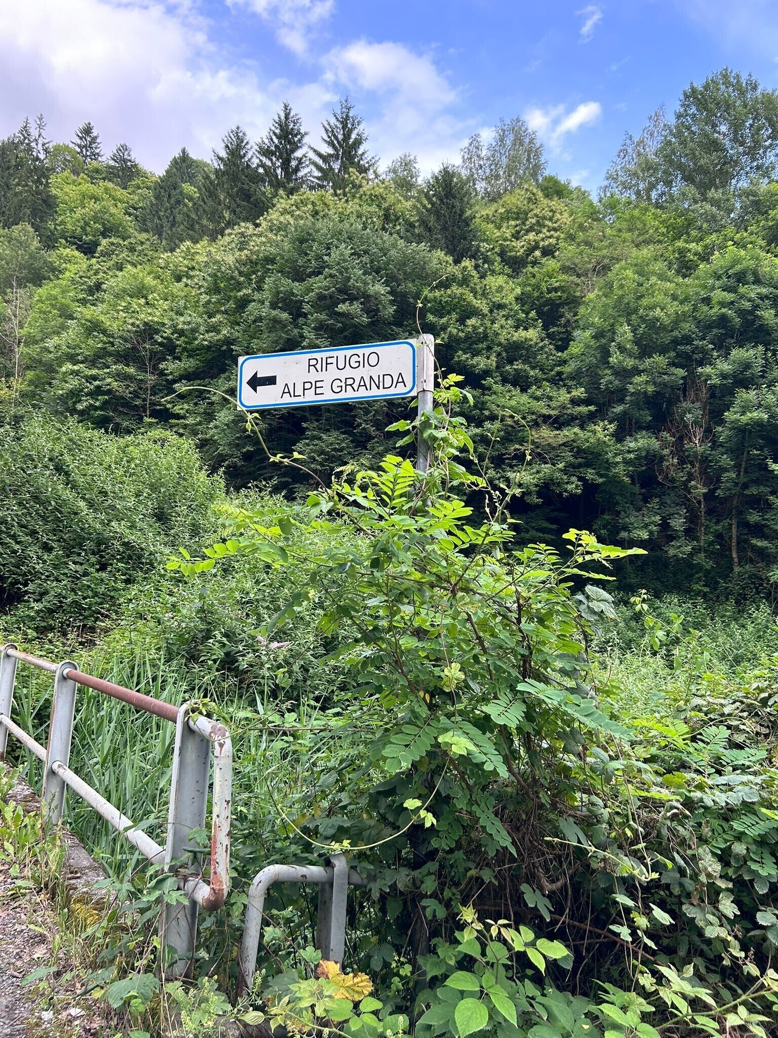 Parco della struttura
