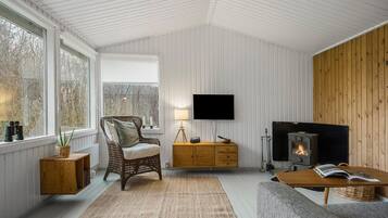 TV connectée, cheminée