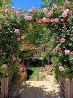 Un sendero en un jardín rodeado de rosas rosadas exuberantes, que conduce a un arco de piedra.