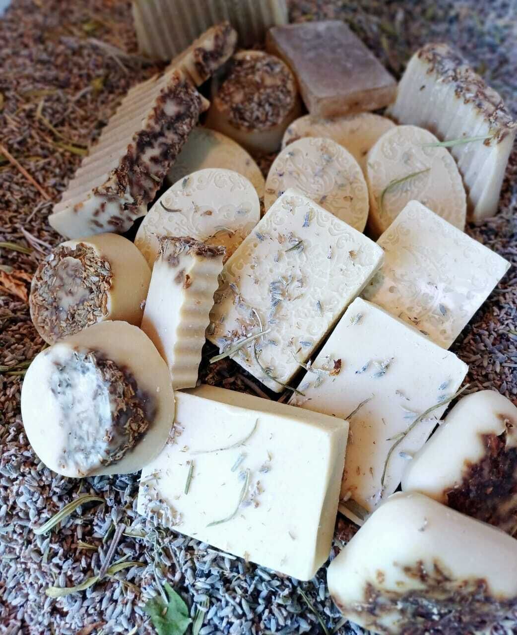 Une variété de cubes et de tranches de fromage, agrémentés d’herbes et de graines, disposés sur une surface en bois.