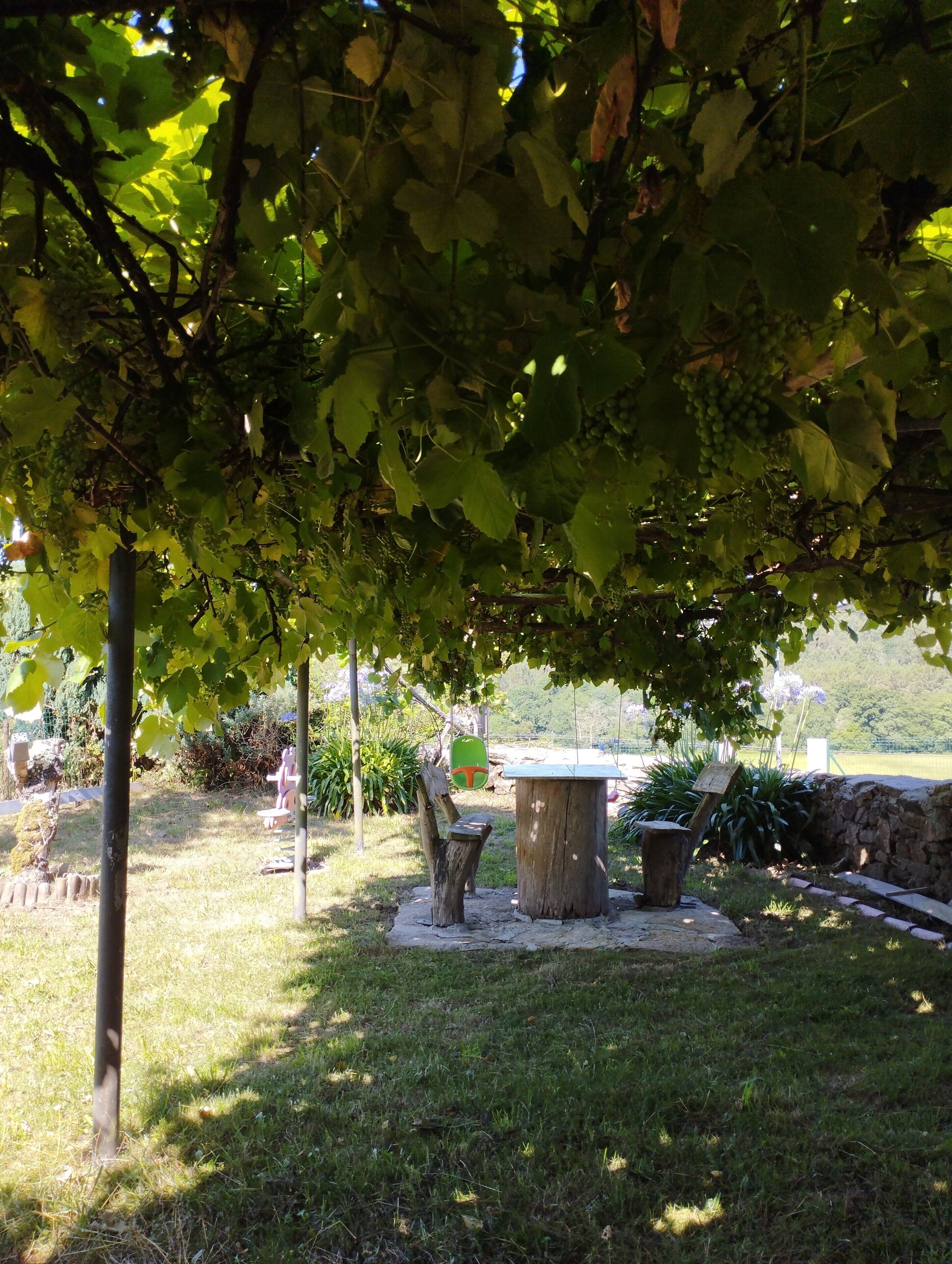 Un espace jardin aménagé avec une table et des chaises, un arbre et un mur en pierre.