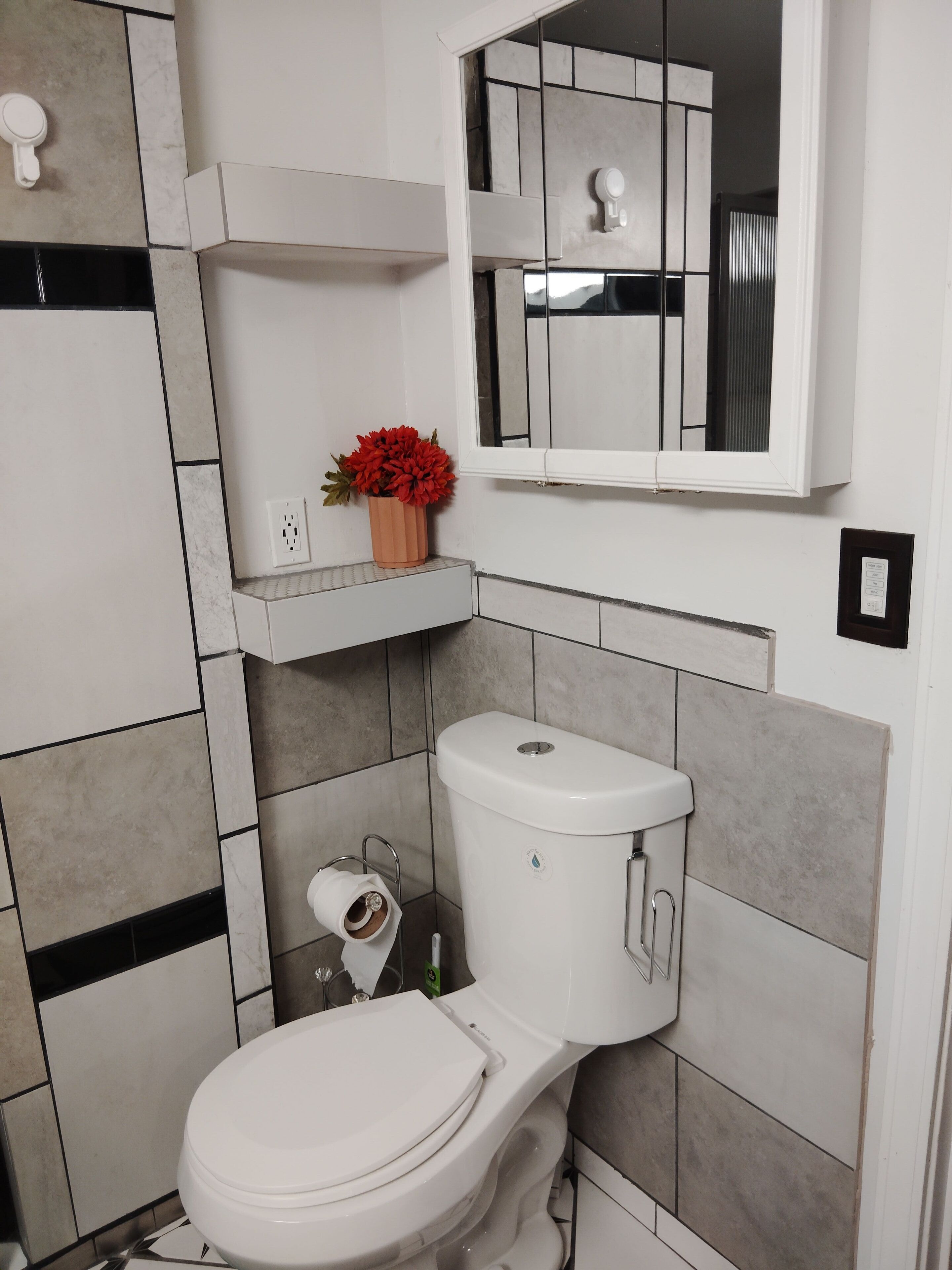 A modern bathroom with a toilet, a small shelf with a potted plant, a mirror, and a toilet paper holder.