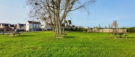 A grassy park area with picnic tables and a large tree in the center.