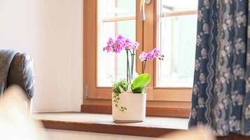 Una planta con flores en un alféizar.