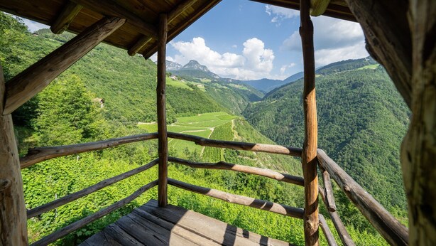Una cabaña de madera con vistas a un valle exuberante y montañas.