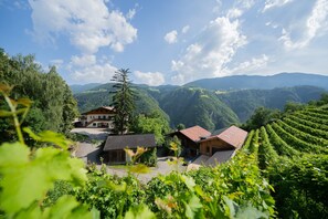 Property grounds - Apartment 'Emmerich Holzknecht' with Mountain View, Private Terrace and Wi-Fi (Fié allo Sciliar)