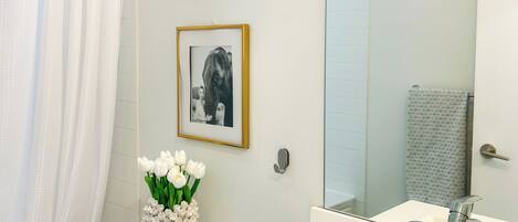 Hair dryer, towels, soap, toilet paper