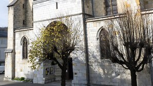 A church with a tall spire, a large arched window, and a tree in front.