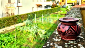 A red ceramic pot on a stone ledge with a garden and houses in the background.