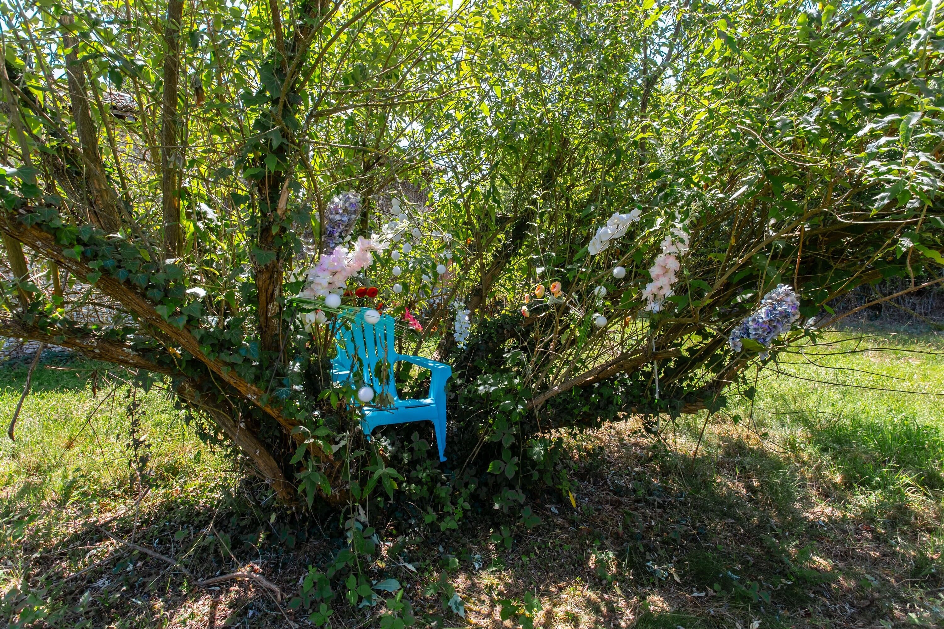 Una silla azul bajo un árbol con flores moradas.