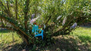 Une chaise bleue sous un arbre aux fleurs violettes.