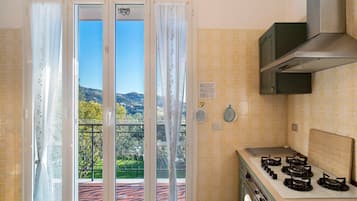 Fridge, oven, stovetop, dishwasher