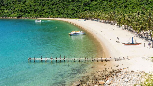 A beach with clear turquoise water, a sandy shore, and a row of palm trees. - Homestay Ngô Khánh 1 (Da Nang)