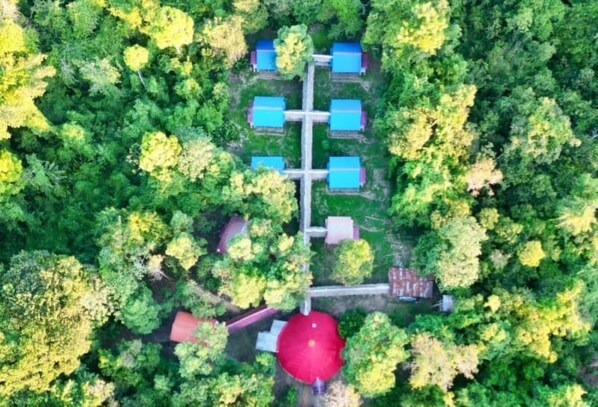 Aerial view - Accommodation and tours excursion: fishing ,watching dolphins, indian tribes. (Iquitos)