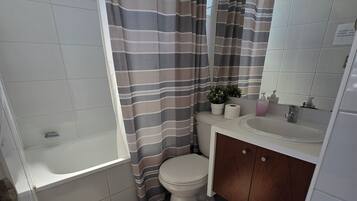 Hair dryer, towels, soap, toilet paper