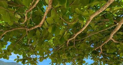 BEACH SUITE ROOM PROVETÁ ILHA GRANDE, JUST A FEW STEPS FROM THE SAND.