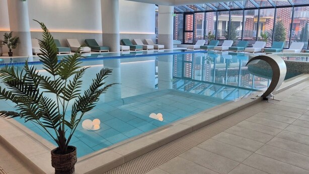 Une piscine intérieure dotée de chaises longues et de plantes en pot.