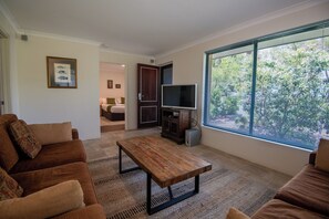 TV connectée, cheminée