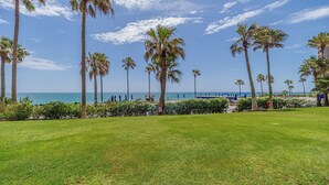 Une vue sur la plage, avec des palmiers, une piscine et un ciel dégagé.